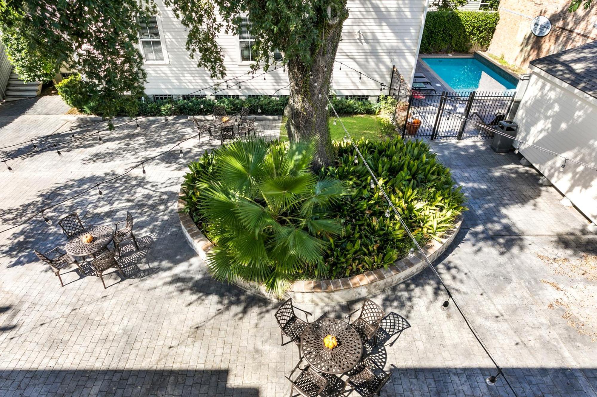 Amazing 3Br Cottage Off St Charles With Pool Nowy Orlean Zewnętrze zdjęcie